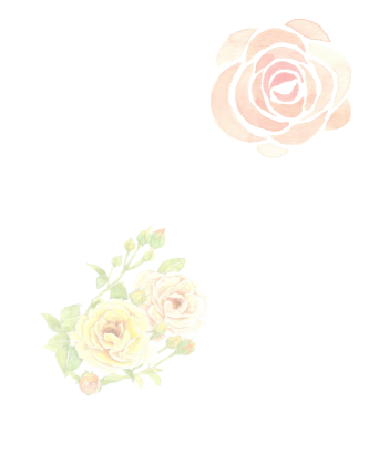 薔薇のイラスト